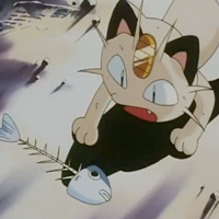 Go West Young Meowth