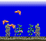 Aqualife Screenshot 1