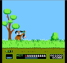 Duck Hunt