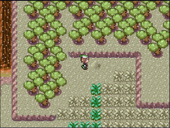 Pokemon Emerald Walkthrough Road to the Fourth Gym - Lavaridge Town