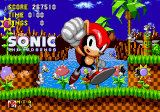 Genesis / 32X / SCD - Mighty in Sonic 1 (Hack) - Mighty the Armadillo - The  Spriters Resource